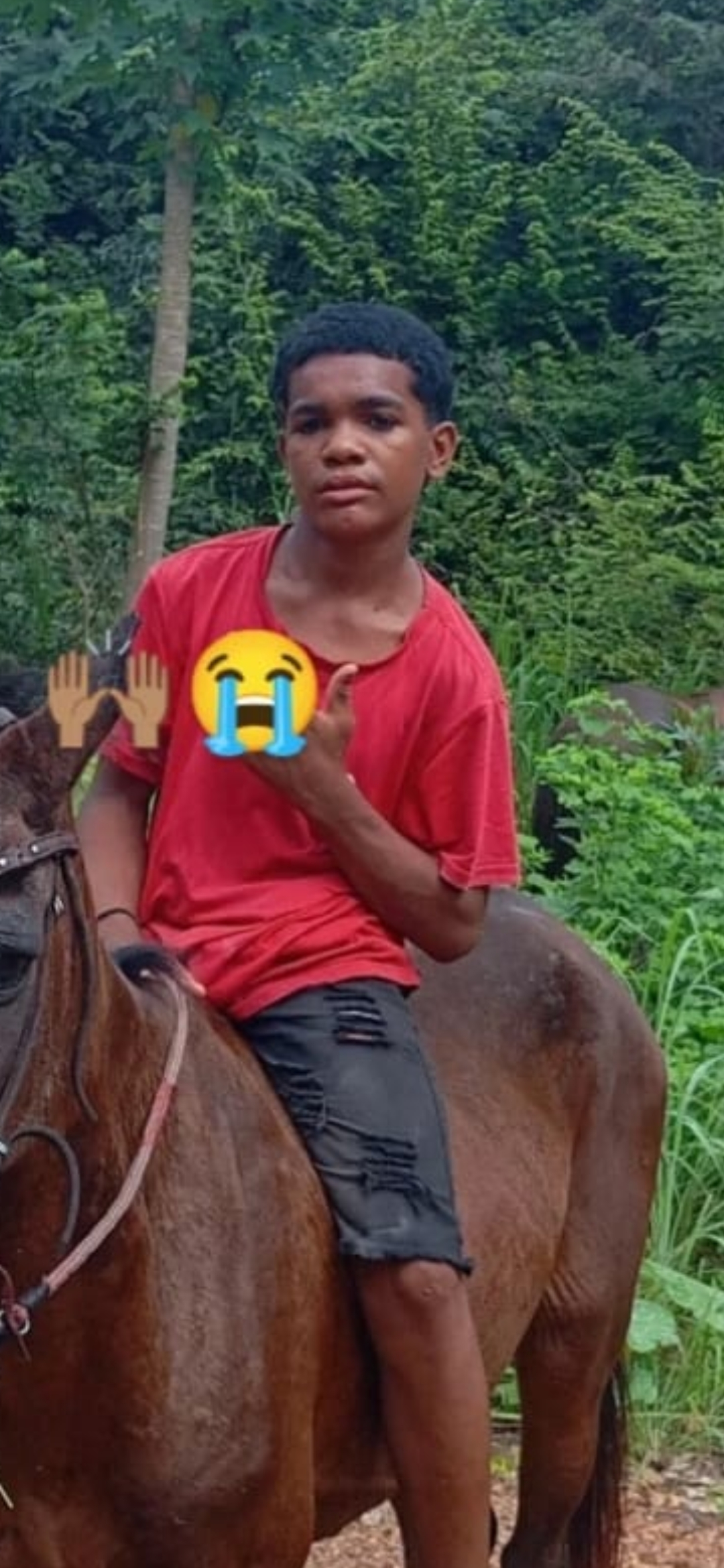 screenshot 20260401 081438 whatsapp