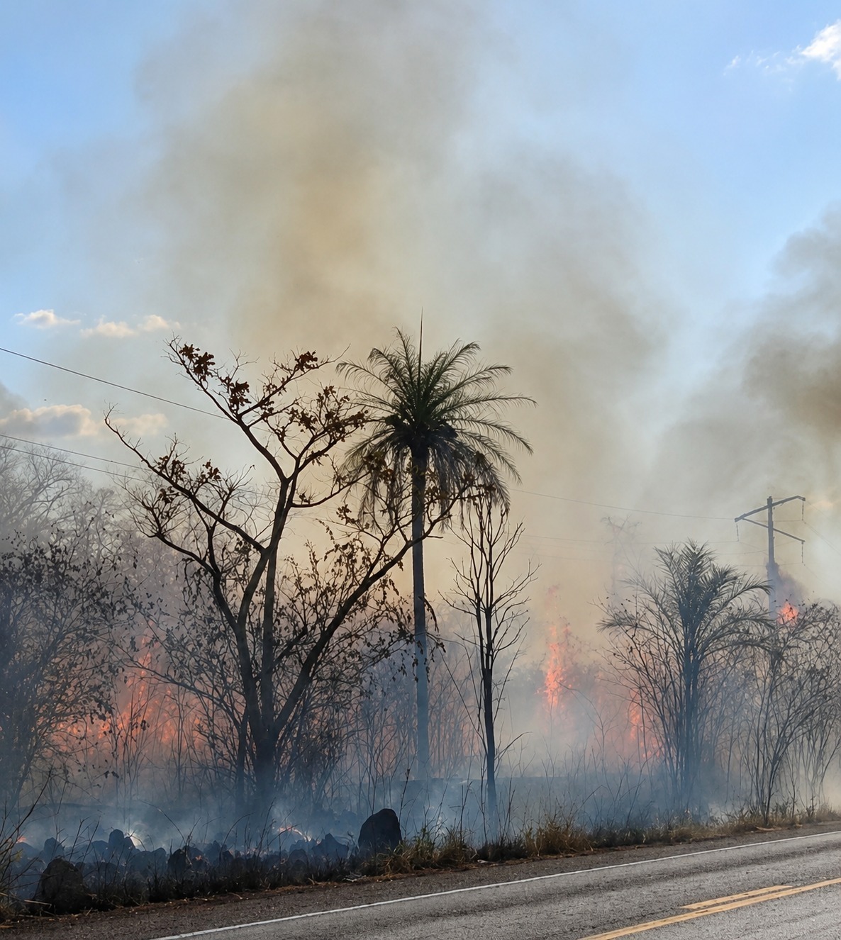 Equatorial Maranhão e o Movimento VC+ Seguro alertam: queimadas colocam vidas em risco e provocaram 233 ocorrências na rede elétrica no estado em 2026* img 20260805 wa0620